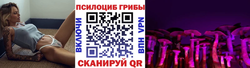 mega ТОР  как найти наркотики  Фатеж  Псилоцибиновые грибы Magic Shrooms 